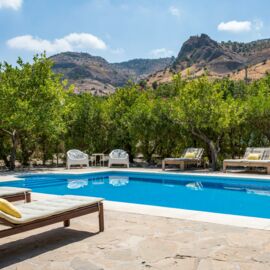 Finca Limon - Guesthouse Andalucia - Outdoor area - Pool